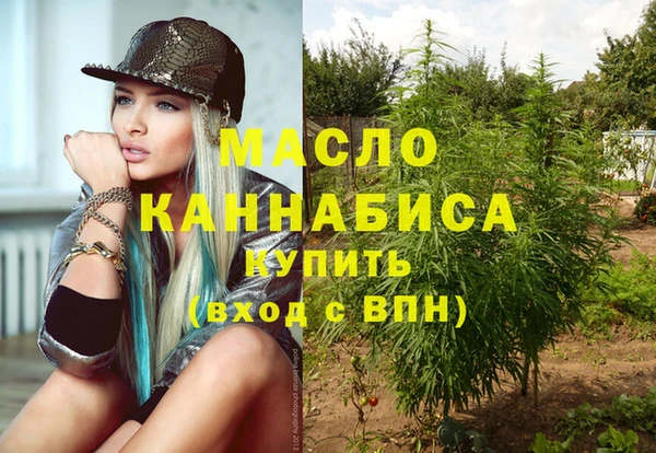 молекула духа Вязьма