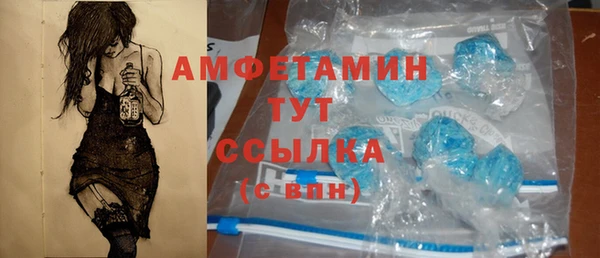 молекула духа Вязьма