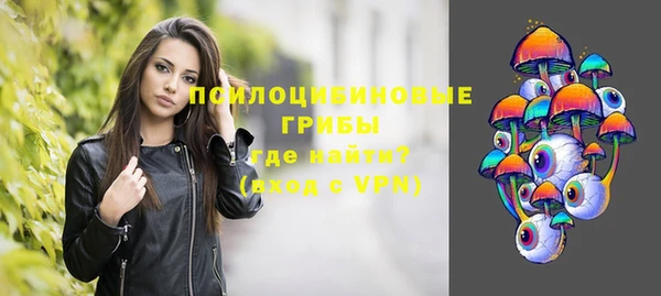 молекула духа Вязьма
