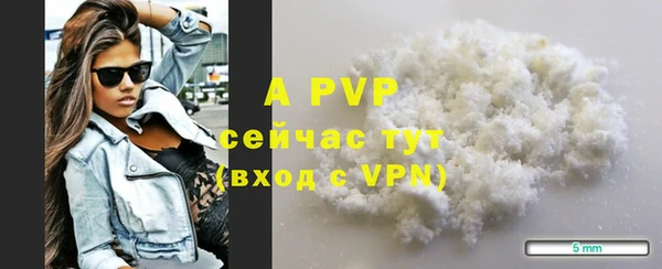 молекула духа Вязьма