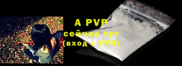 молекула духа Вязьма