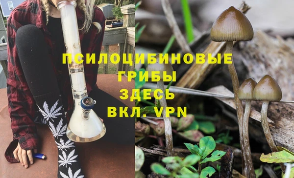 MDMA Premium VHQ Вяземский