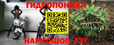 дурь Канаш