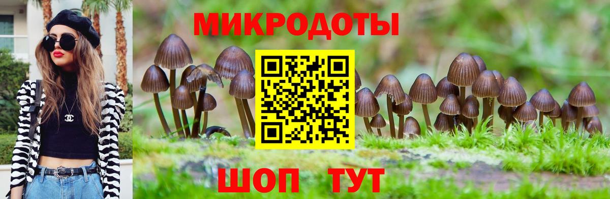 Галлюциногенные грибы прущие грибы  Псилоцибиновые грибы Magic Shrooms  хочу наркоту  Георгиевск 