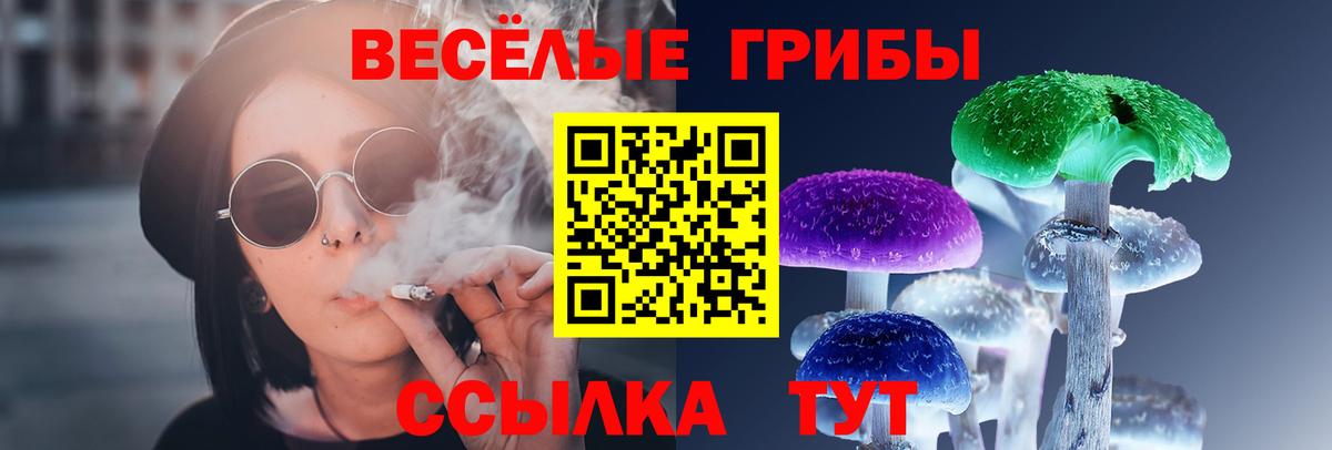 Псилоцибиновые грибы ЛСД Георгиевск