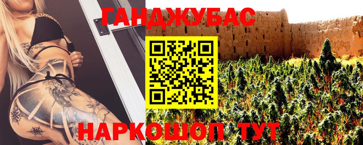 Конопля гибрид Георгиевск