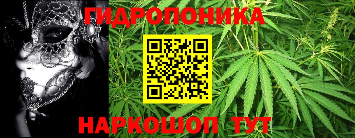Каннабис LSD WEED  Вход с VPN  Шишки марихуана ГИДРОПОН  МАРИХУАНА марихуана  Георгиевск 